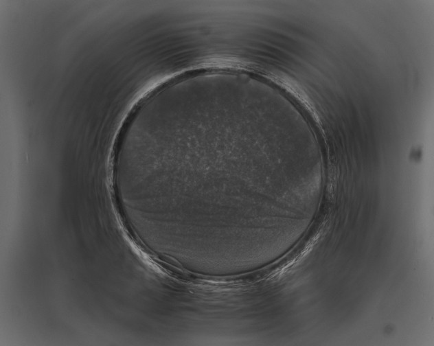 X0000096981037200803071025