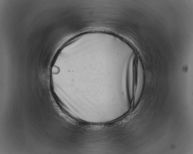 X0000096981038200803071025