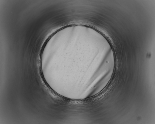 X0000096981040200803071025