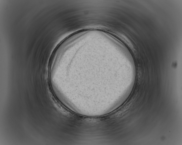 X0000096981044200803071025