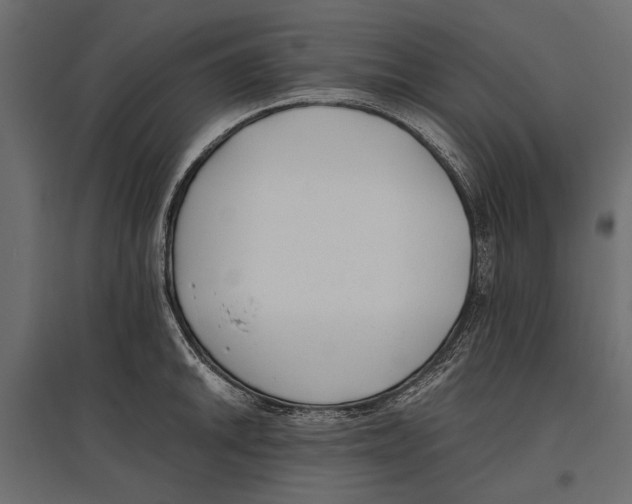 X0000096981046200803071025