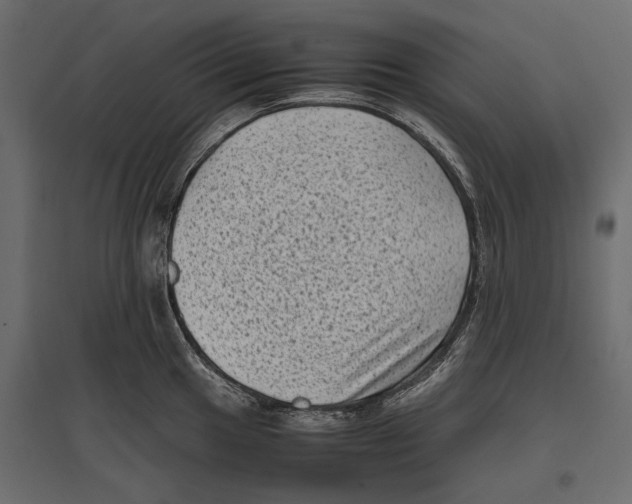 X0000096981049200803071025