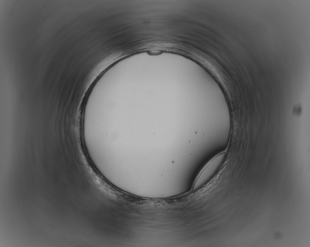 X0000096981050200803071025