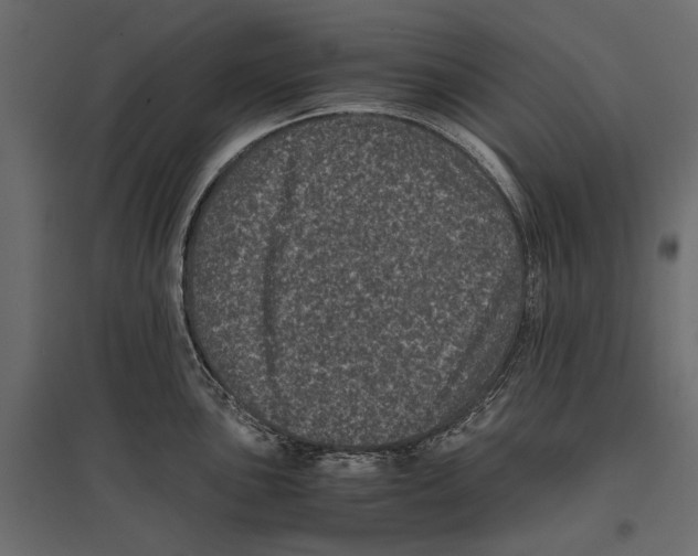 X0000096981051200803071025