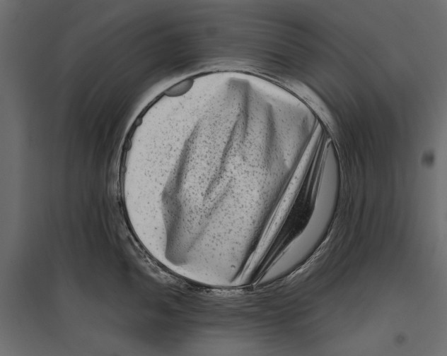 X0000096981052200803071025