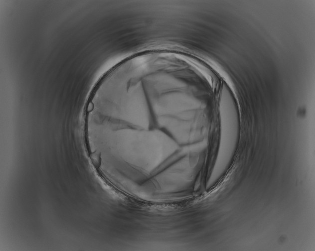 X0000096981053200803071025