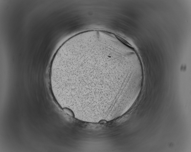 X0000096981056200803071025