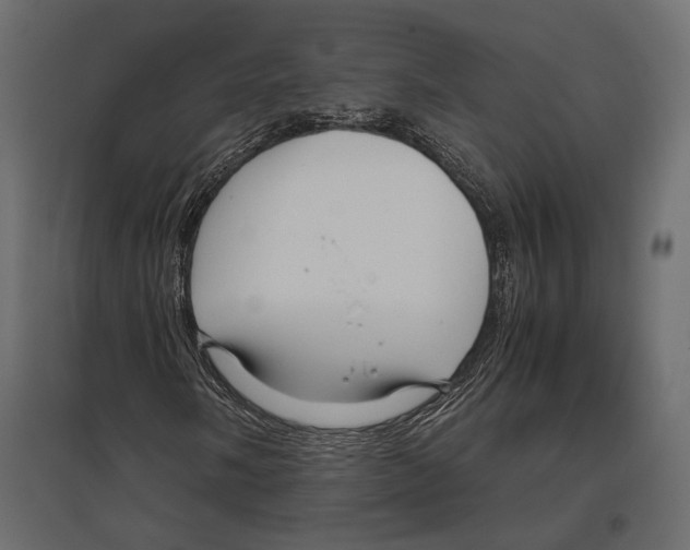 X0000096981058200803071024