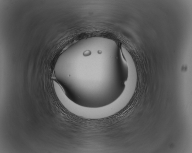 X0000096981059200803071024