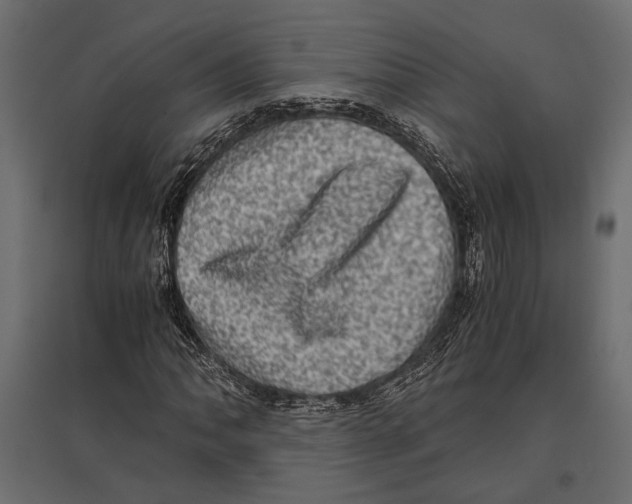 X0000096981062200803071024