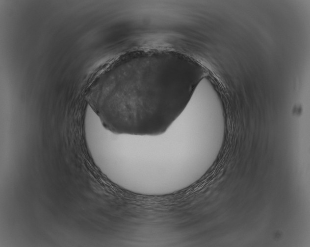 X0000096981063200803071024