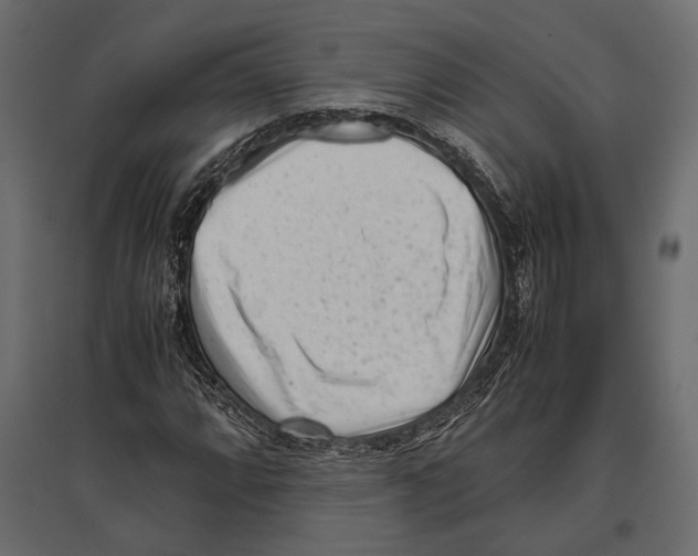 X0000096981064200803071024