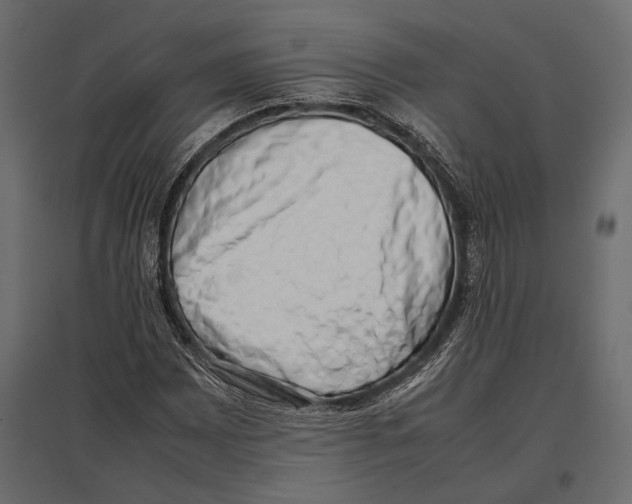 X0000096981065200803071024