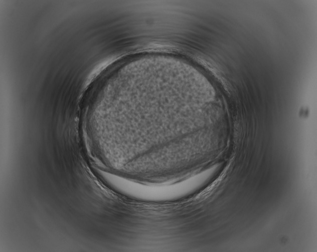 X0000096981066200803071024