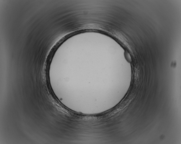 X0000096981068200803071024