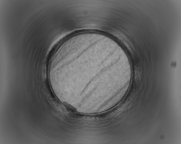 X0000096981069200803071024