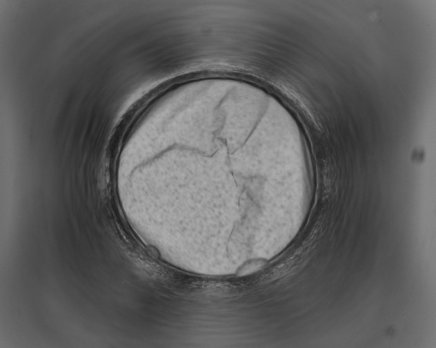 X0000096981070200803071024