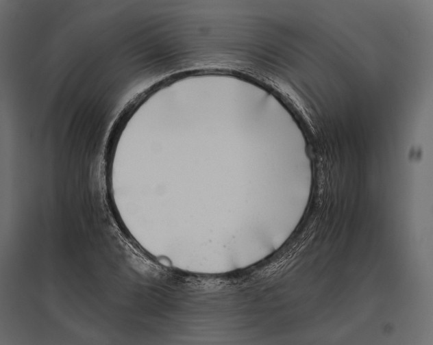 X0000096981072200803071024