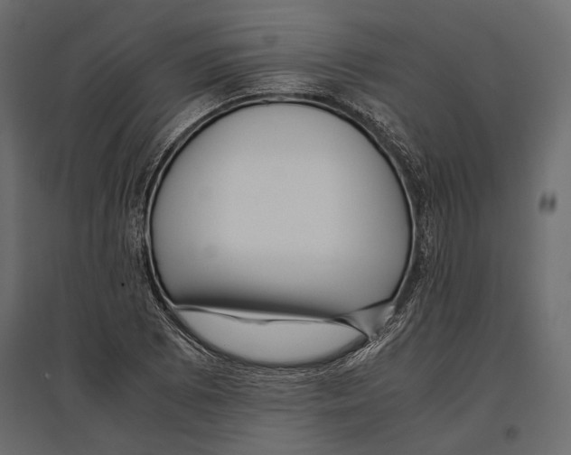 X0000096981073200803071024