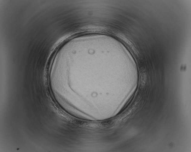 X0000096981074200803071024