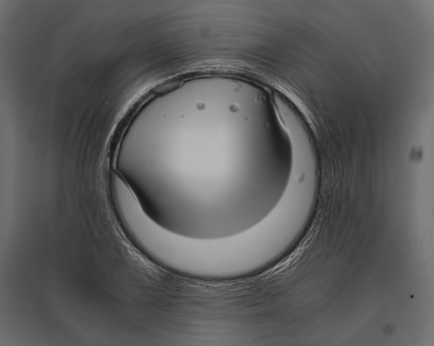 X0000096981075200803071024