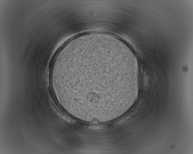 X0000096981078200803071024