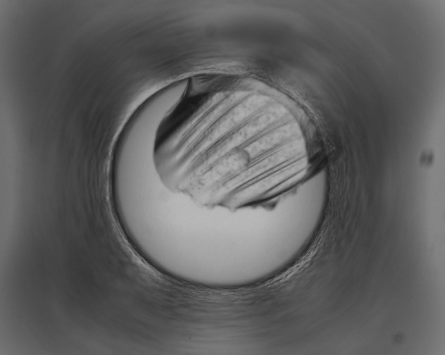 X0000096981079200803071024