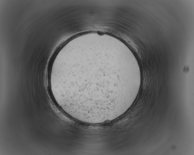 X0000096981080200803071024