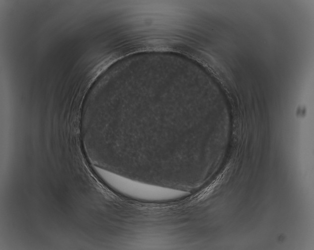 X0000096981081200803071024