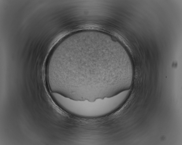 X0000096981082200803071024