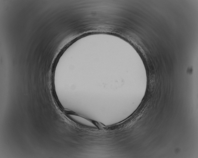 X0000096981085200803071024