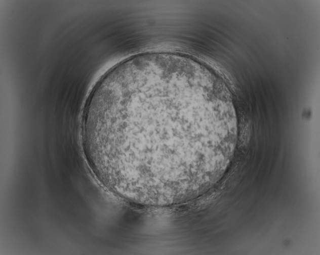 X0000096981086200803071024