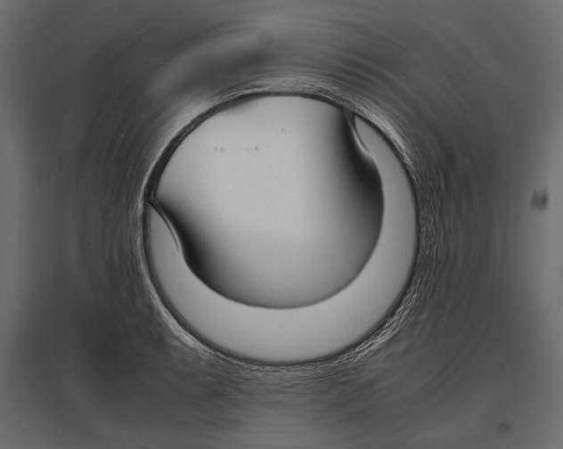 X0000096981087200803071024