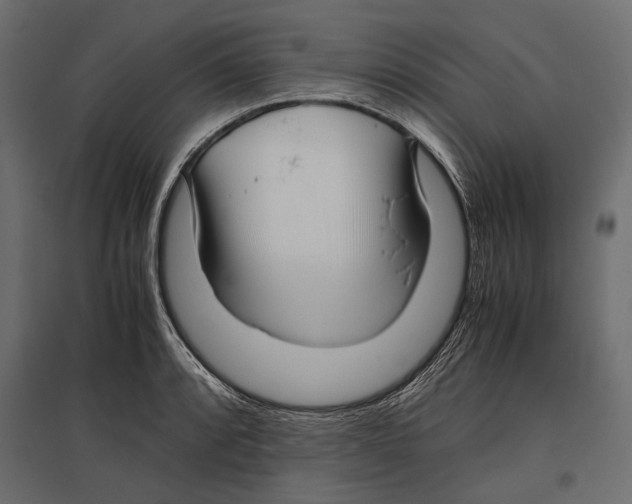 X0000096981088200803071024