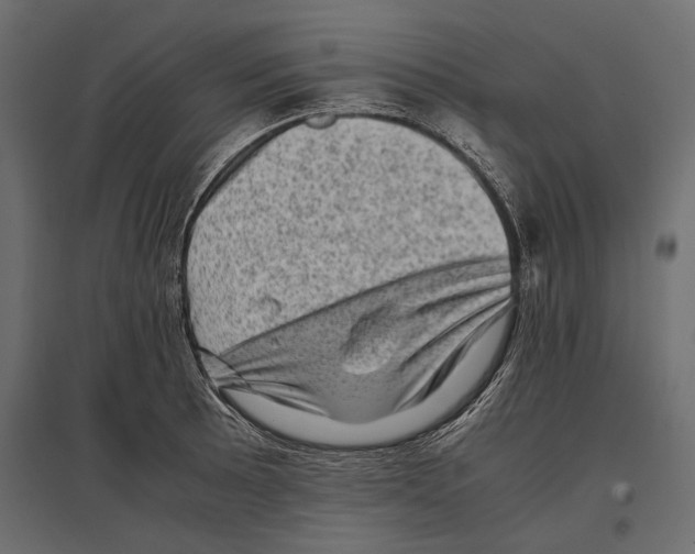 X0000096981089200803071024