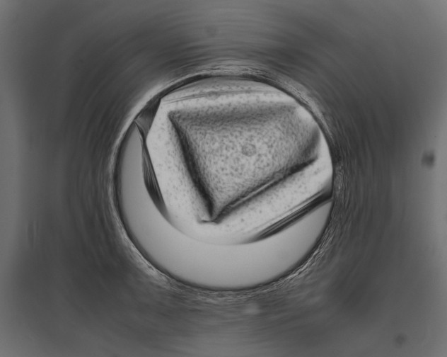 X0000096981091200803071024