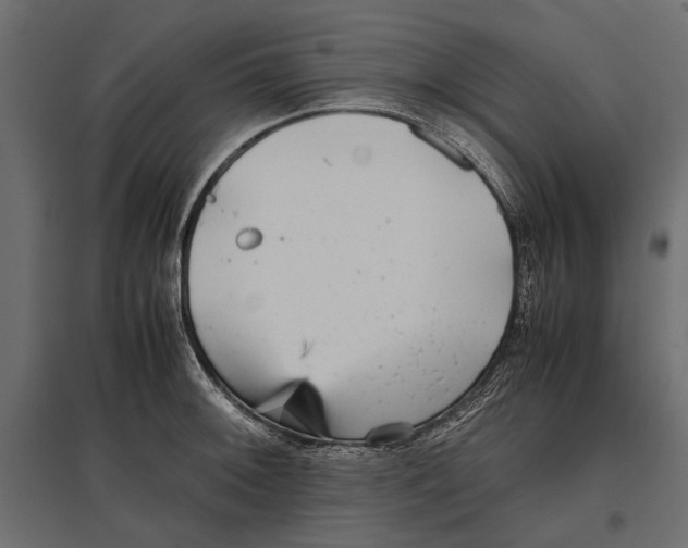 X0000096981092200803071024