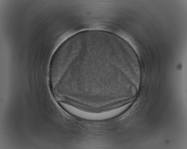 X0000096981093200803071024