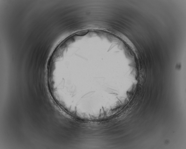 X0000096981096200803071024
