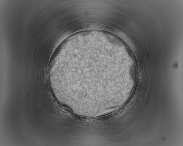 X0000096981097200803071024