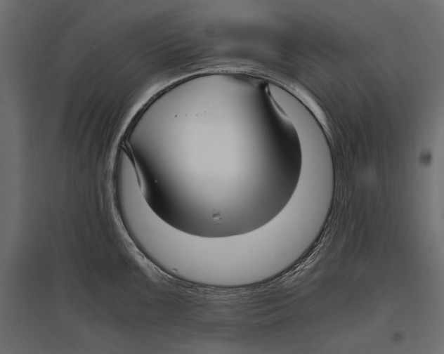 X0000096981099200803071024