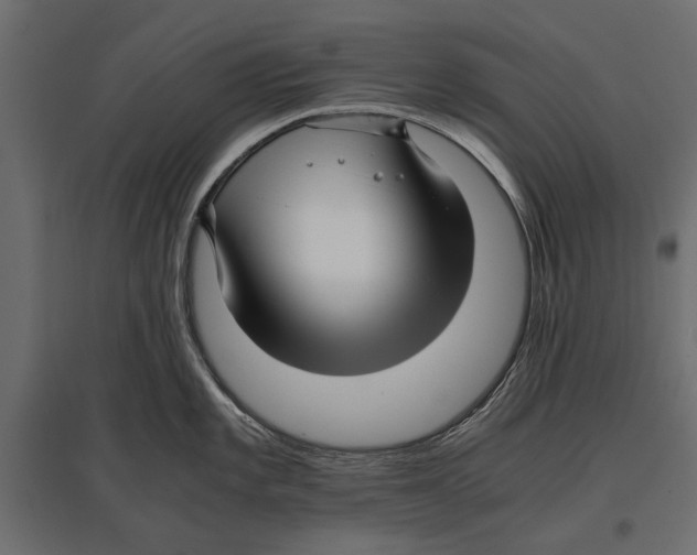 X0000096981101200803071024