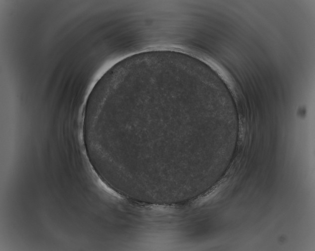 X0000096981102200803071024