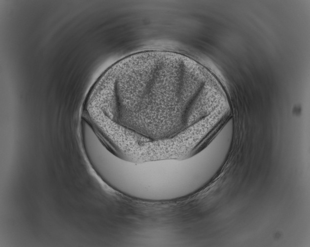 X0000096981103200803071023