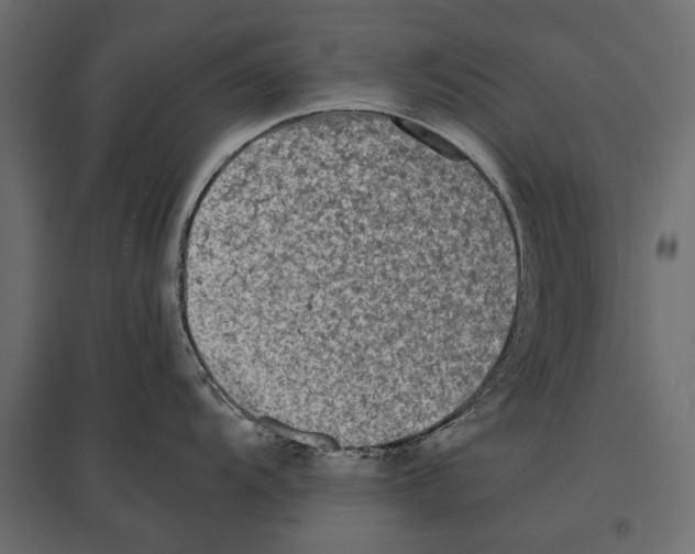 X0000096981104200803071023