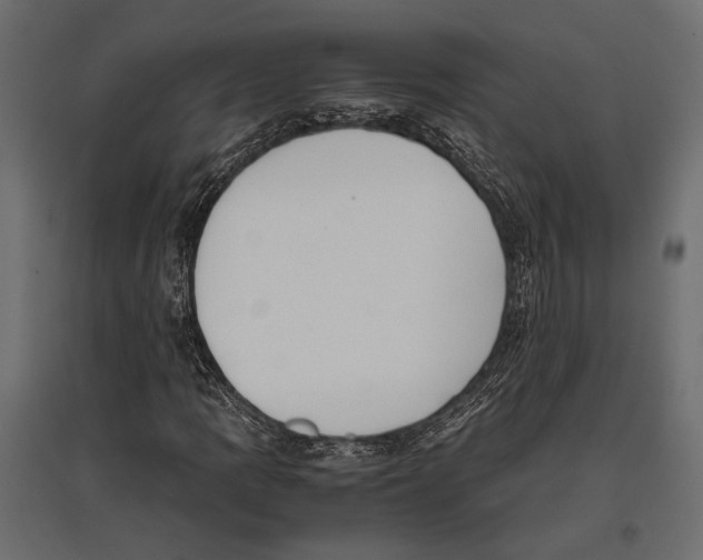 X0000096981109200803071023