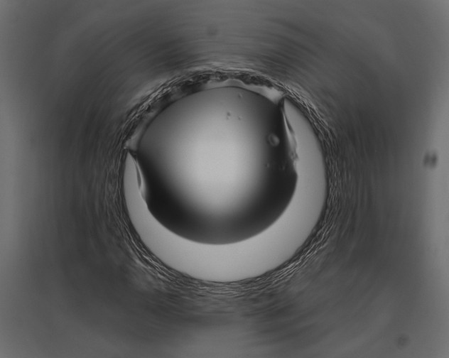 X0000096981110200803071023