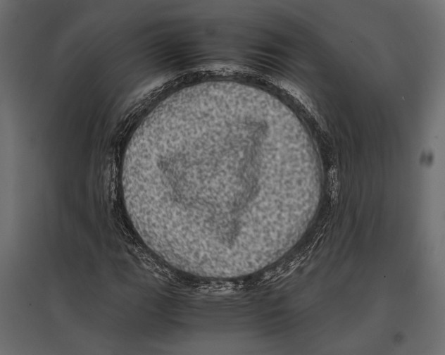 X0000096981111200803071023