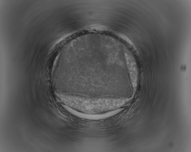 X0000096981112200803071023