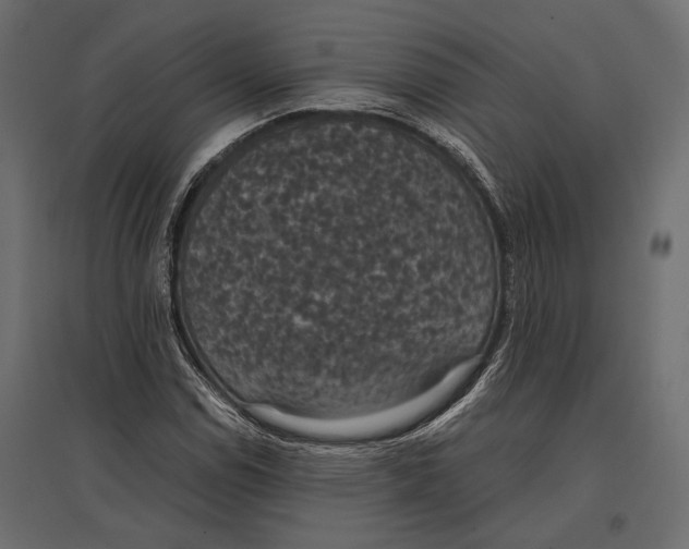 X0000096981114200803071023